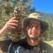 Huge pine cone we found along the way
