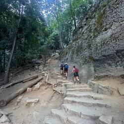 Lots and lots of steps!