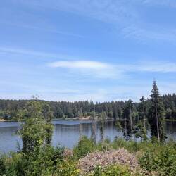 Windgfällweiher