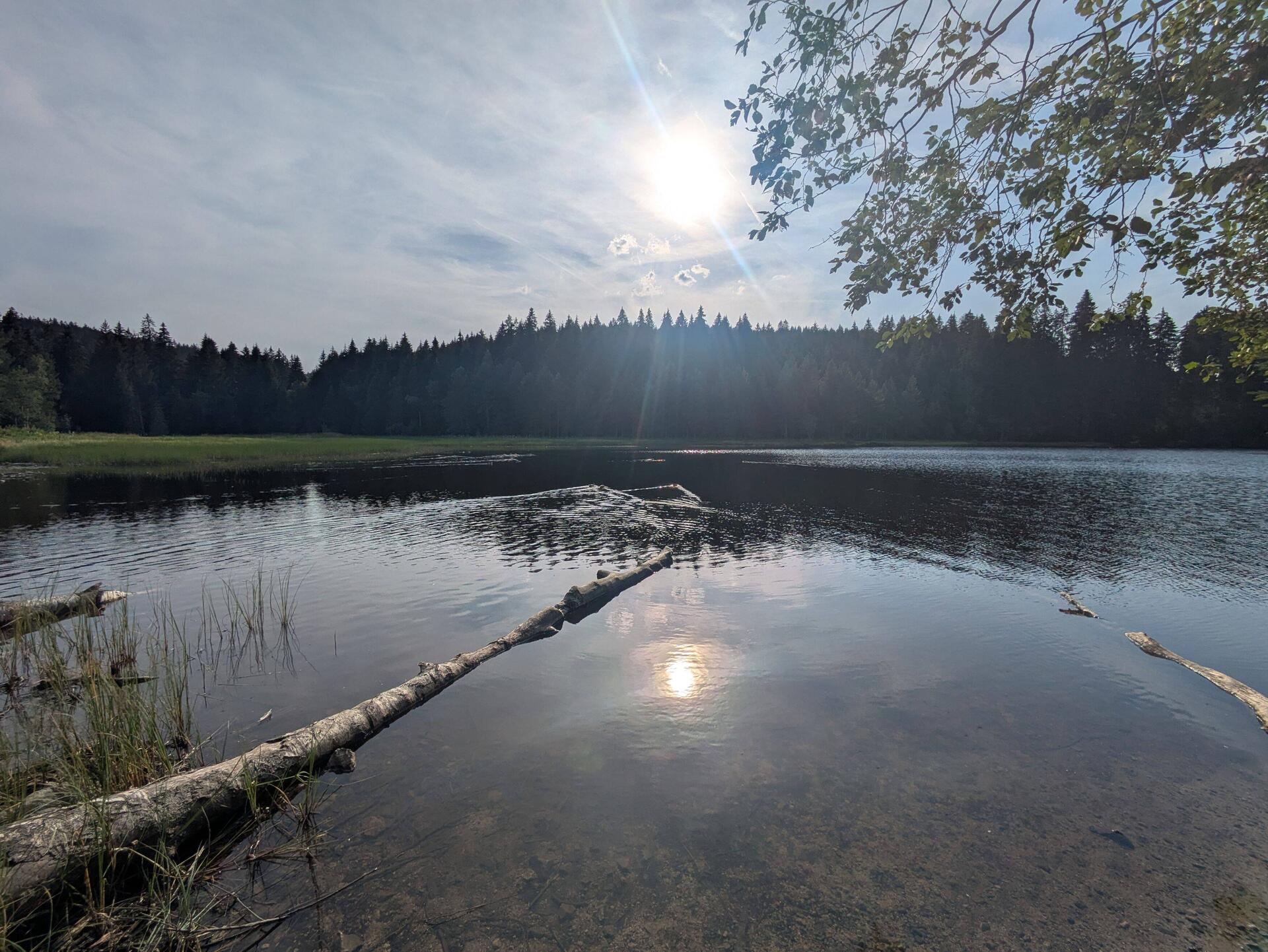 Windgfällweiher