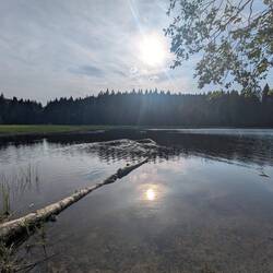 Windgfällweiher