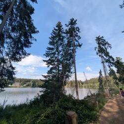 Windgfällweiher