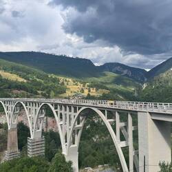 Tara Brücke