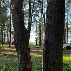 Blick aus dem 🚐auf die Ostsee