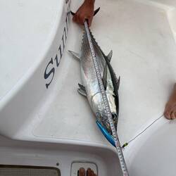 second fish of the day