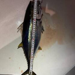 second fish of the day again 🎣