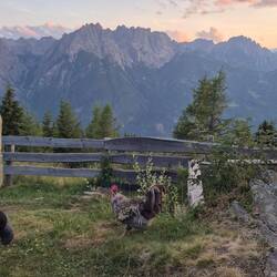 Sonnenuntergang mit Blick auf die Karnischen Alpen