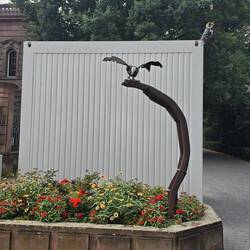 Ein Grünschnabel