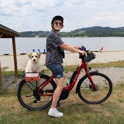 Lipno