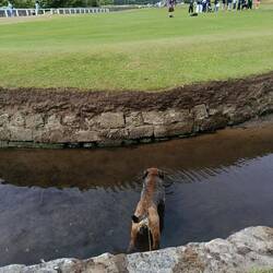 Kurze Trinkpause, im Golf Graben, sammt Dudelsack Klängen