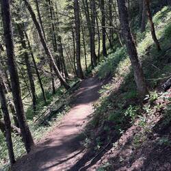 Kelly's trail