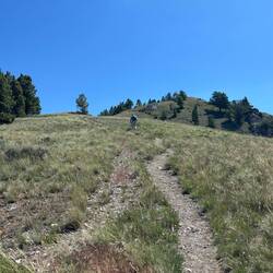 Josie's Ridge trail