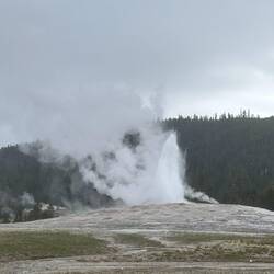 Old Faithful