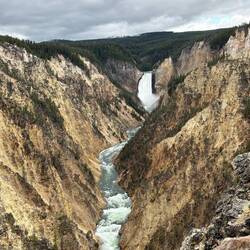 Grand Canyon of Yellowstone