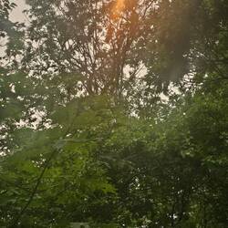 Die Sonne war komisch heute. So orange.