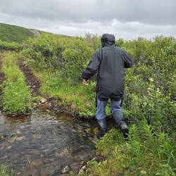 Wanderung nach dem Regen