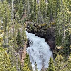 Beartooth Creek