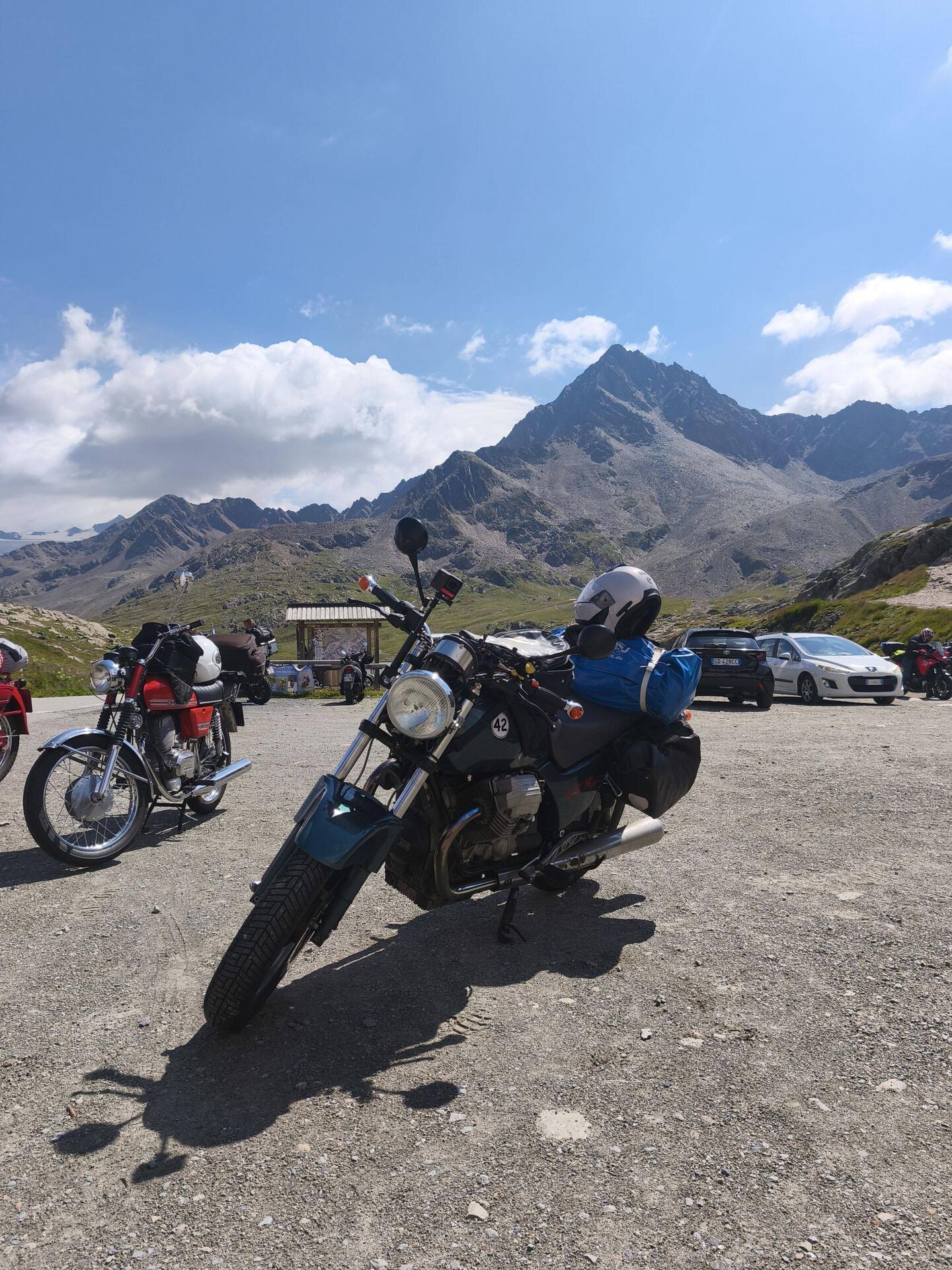 Am Gavia