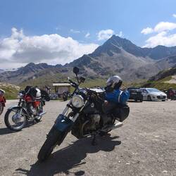 Am Gavia
