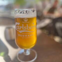 Carlsberger Bier
