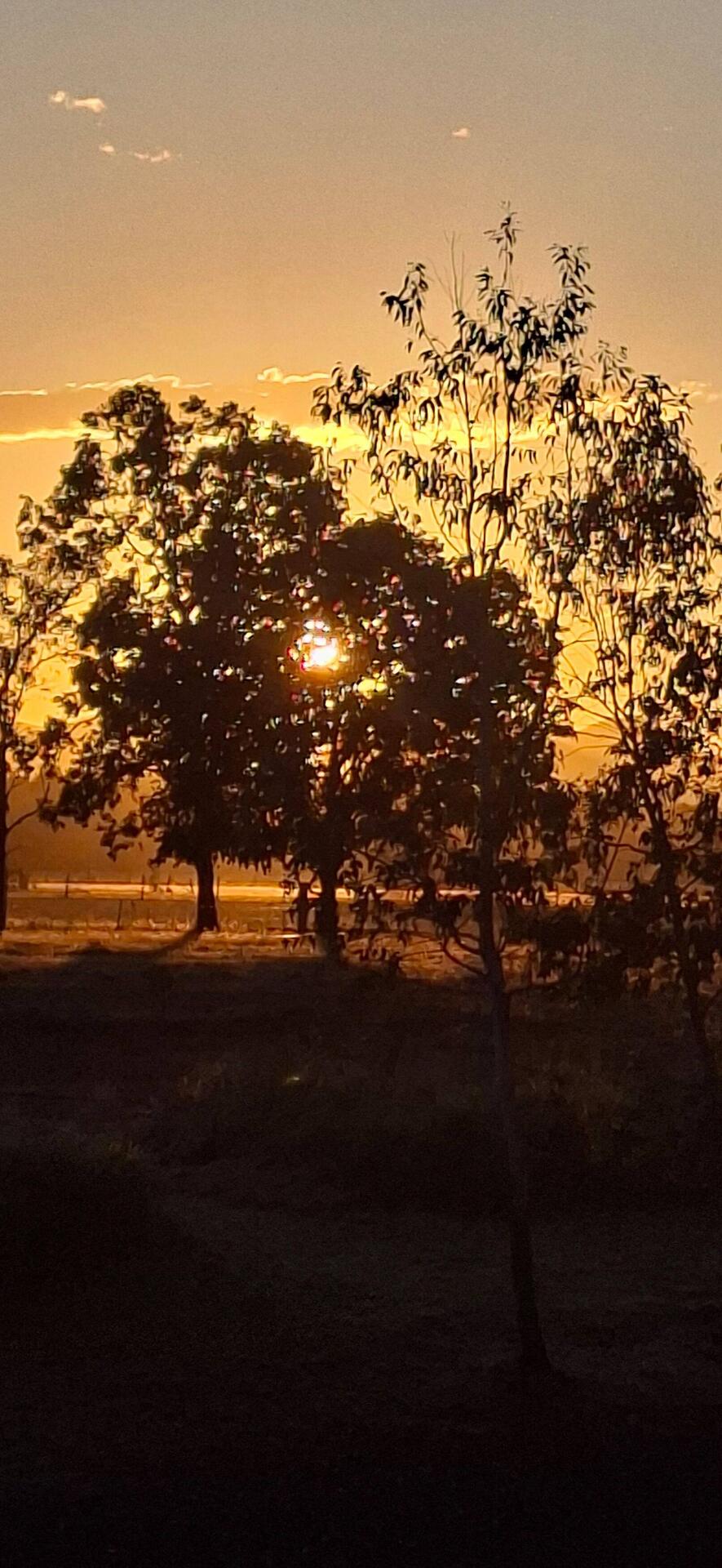 Sunrise