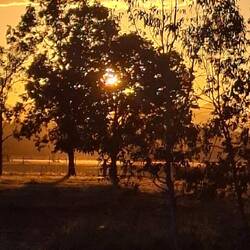 Sunrise