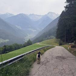 In der Früh wars auch schon eher neblig/diesig