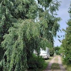 Geschützt vor dem Wind