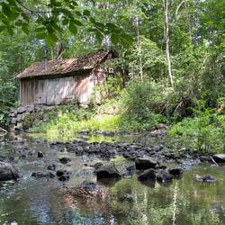 Eine alte Mühle