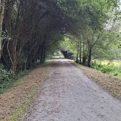 It's good to get off the roads...there is a lot of concrete on this Camino!