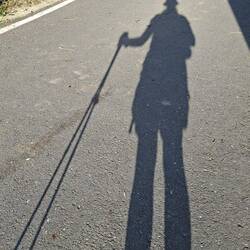 My constant companion
