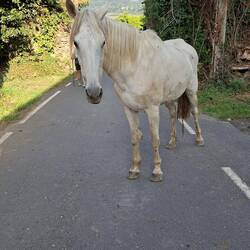 And my new friend...she just walked straight up to me
