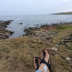 Pause & lesen