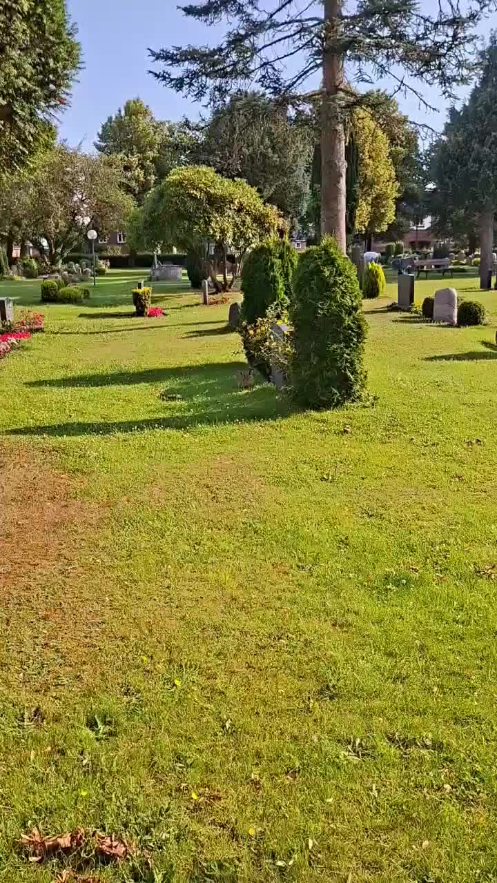 Friedhofshase 🐇 (letztes Jahr waren es noch zwei 🐇🐇😥)