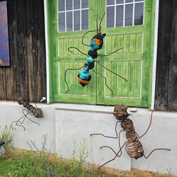 Giant ants at Hich Zirl station