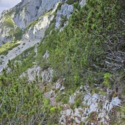 Via ferrata