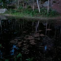 Fun Fact: bei Flut ist der Weg zur Toilette und zur nächsten Campsite überschwemmt