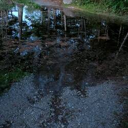 Fun Fact: bei Flut ist der Weg zur Toilette und zur nächsten Campsite überschwemmt
