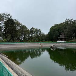 Auf dem höchsten Punkt: ein Wasserreservoir aus einer Quelle.