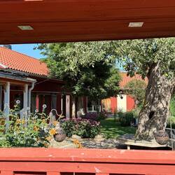 Blick in ein fremdes Gartenwohnzimmer