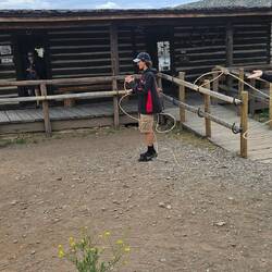 Lassoing a calf is hard, even when it's not moving!