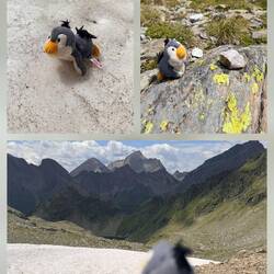Endlich Schnee für Pingu 🥳