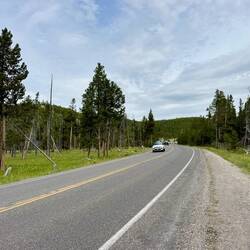 Vor der Grand Prismatic Spring mussten wir kurz neben der Strasse wandern.