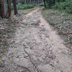 It has mostly been concrete so nice to get off road!
