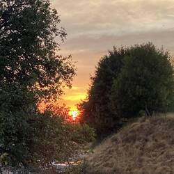 Abendstimmung