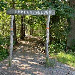 Der 500km lange Upplandsleden beginnt hier. Ich lasse ihn hinter mir