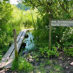 So endet der 400m lange Plankenpfad