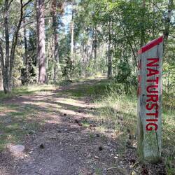 Ein herrlicher Weg
