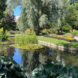 im Stadstrådsgården; sehr kultiviert angelegt