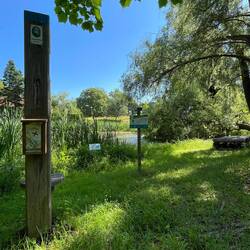 ein idyllischer Fleck im botanischen Garten